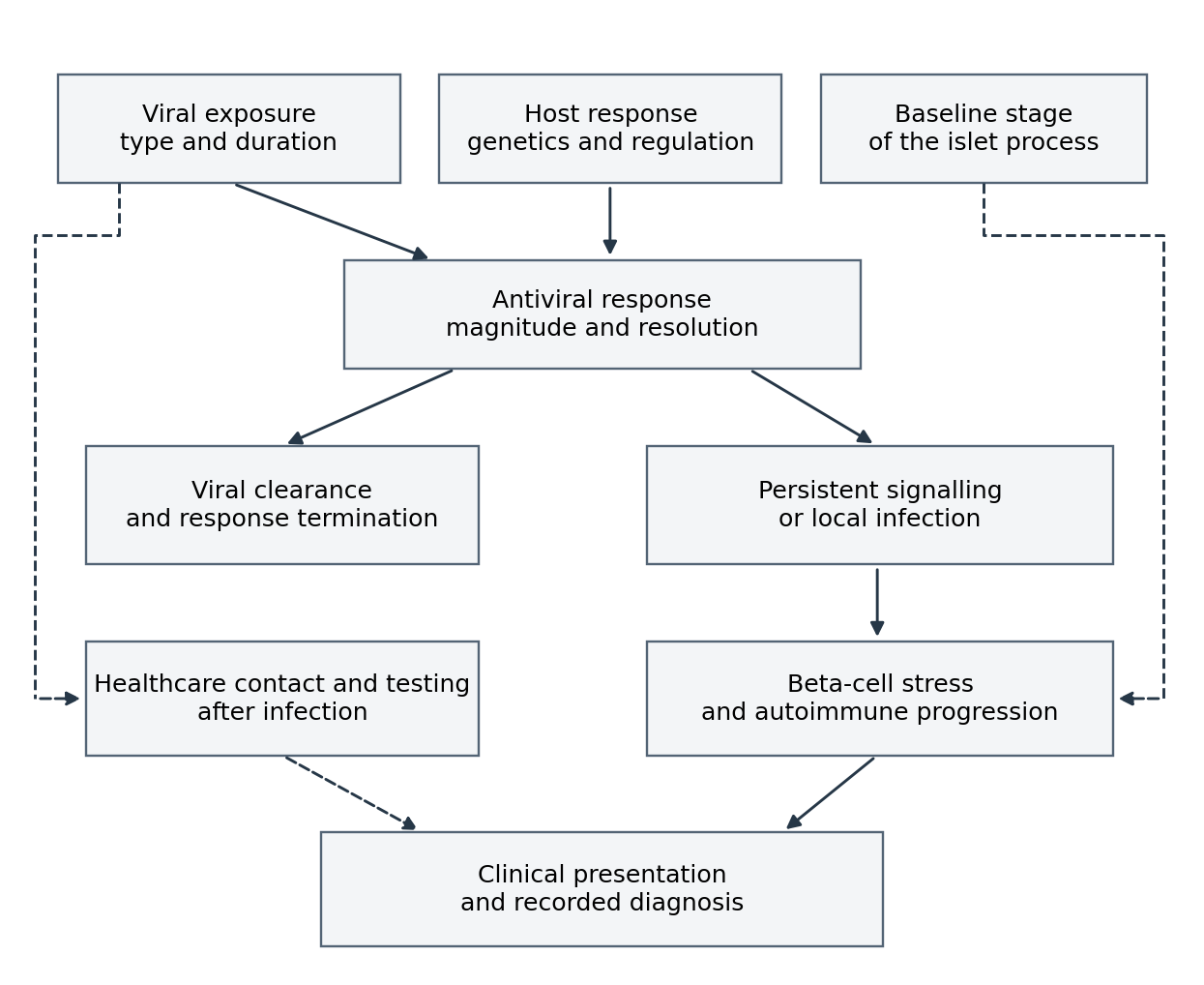 Proposed links between viral exposure, immune response and diabetes stages