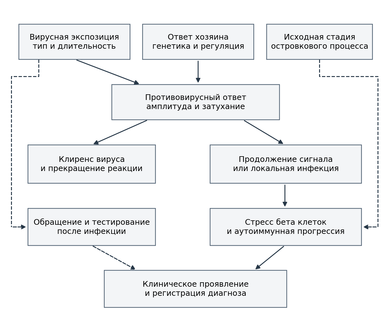 Предполагаемые связи вирусной экспозиции, иммунного ответа и стадий диабета